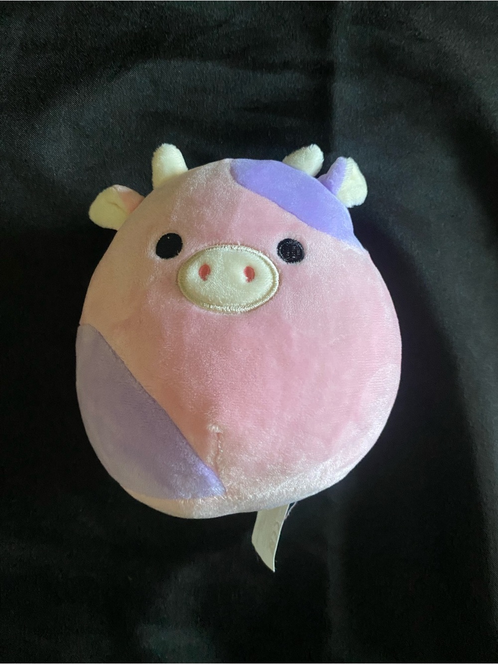 Patty the cow from Squishmallow